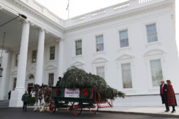 WASHINGTON, DC - NOVEMBER 19:  U.S. President Donald Trump and first lady Melania Trump inspect the North Carolina grown Fraser Fir Christmas Tree at the North Portico as it makes its way to the Blue Room for display at the White House on November 19, 2018 in Washington, DC.  (Photo by Mark Wilson/Getty Images)