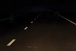 "Poor" halogen headlights on the Hyundai Kona. Distances displayed are a pedestrian at 140 feet and deer 220 feet. (Courtesy IIHS)