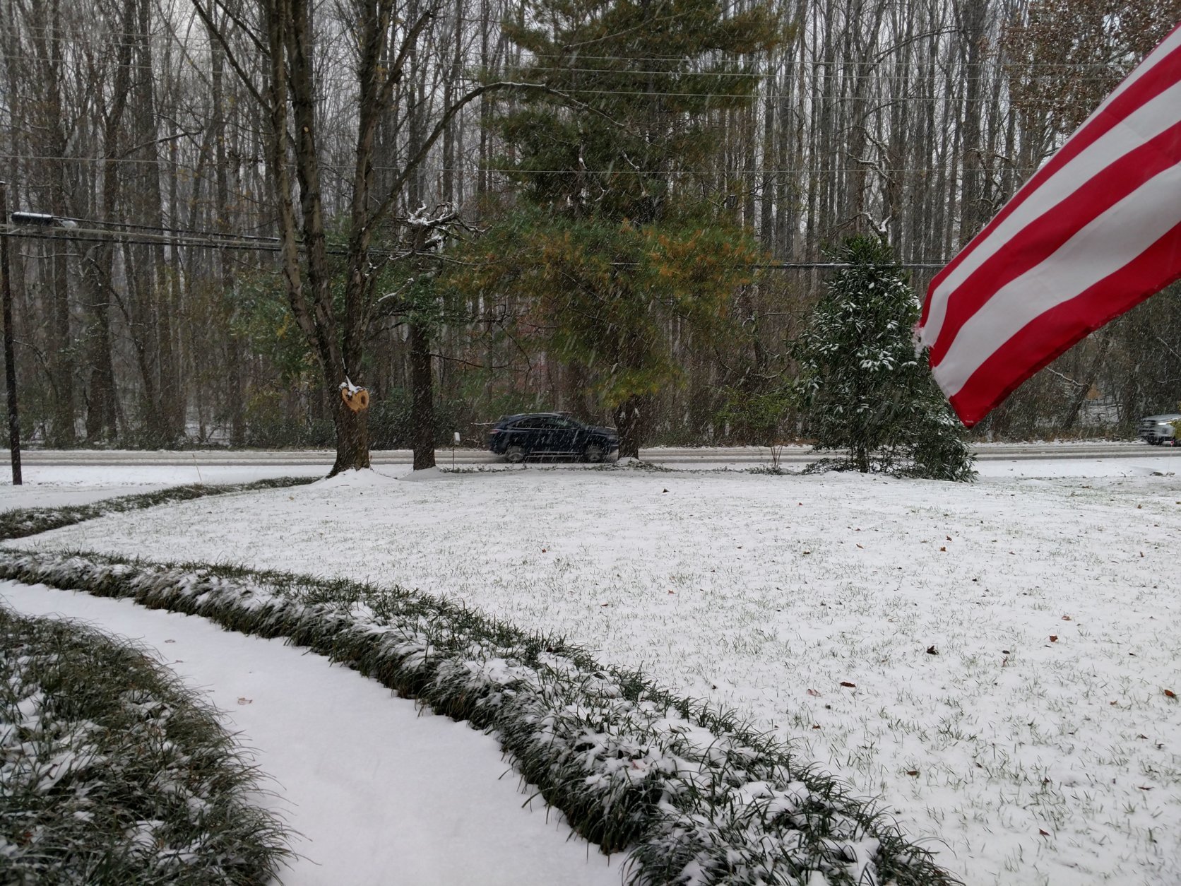 Snow, though not a ton, in Oakton, Virginia. (Courtesy Art Light)
