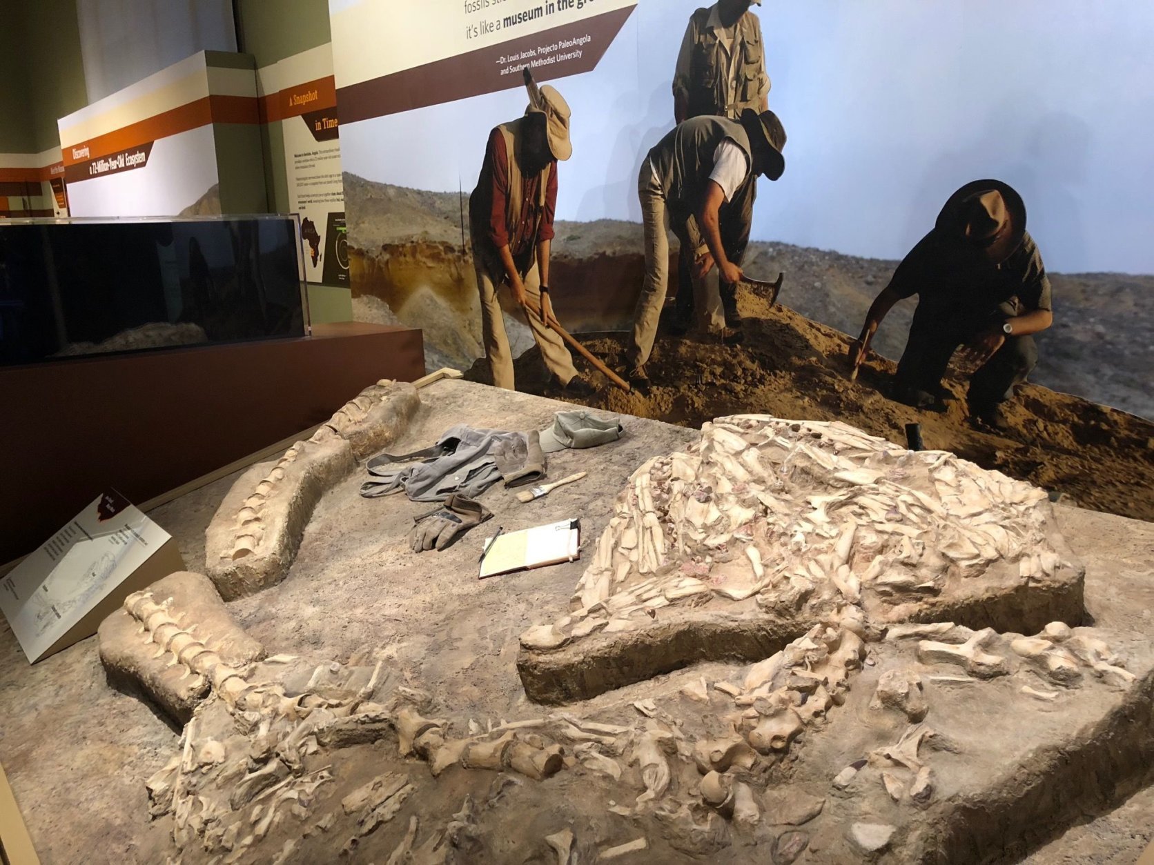 Smithsonian's "Sea Monsters Unearthed" exhibit. (WTOP/Kristi King)