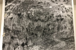 A 1972 aerial police photo of the area where the unidentified woman was killed. (Courtesy Prince George's County Police Department)