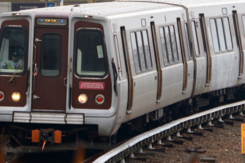 Man stabbed to death on Pentagon Metro platform