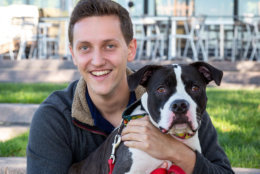 Zachary Leibell, the associate press secretary for the Executive Office of Mayor, visits with Omar, who's available for adoption at the alliance. (Courtesy Humane Rescue Alliance)