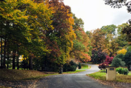 A wide shot of the entrance to a neighborhood. (Courtesy Amy Kirschner)