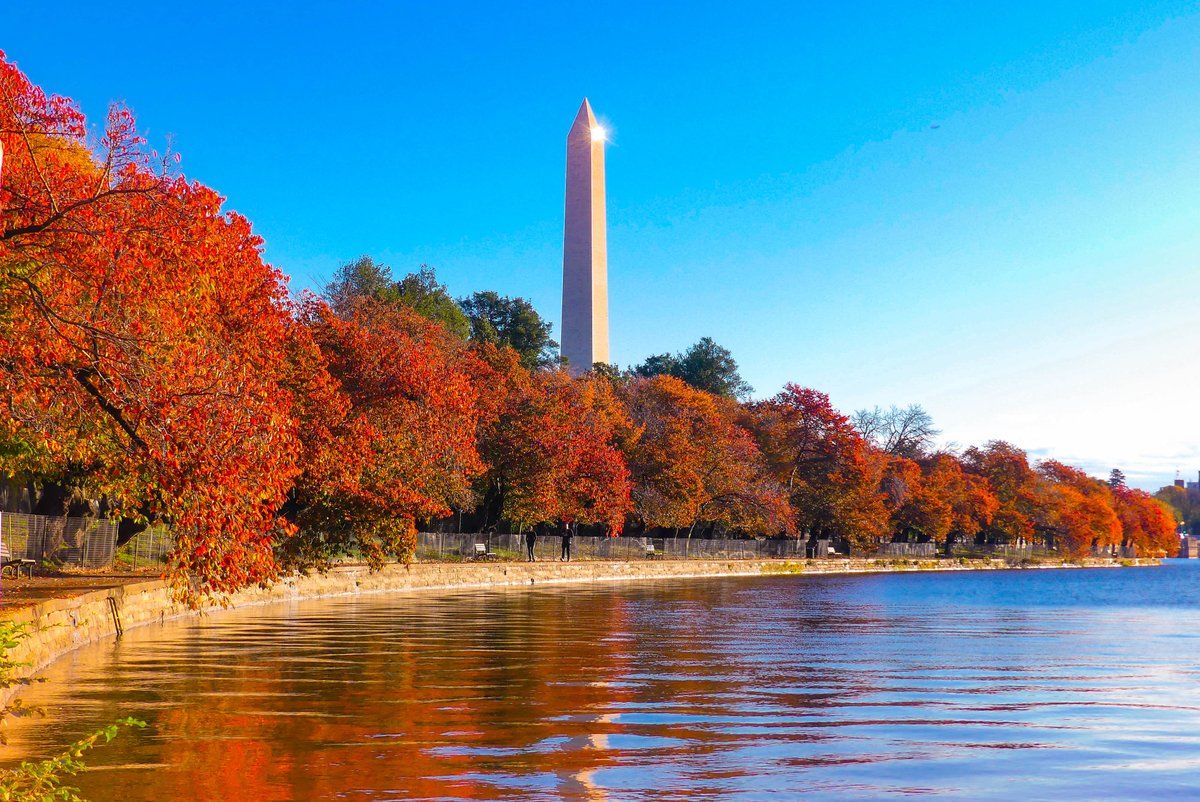 The Washington Monument surrounded by fall colors. (Courtesy @chris_fukuda) 