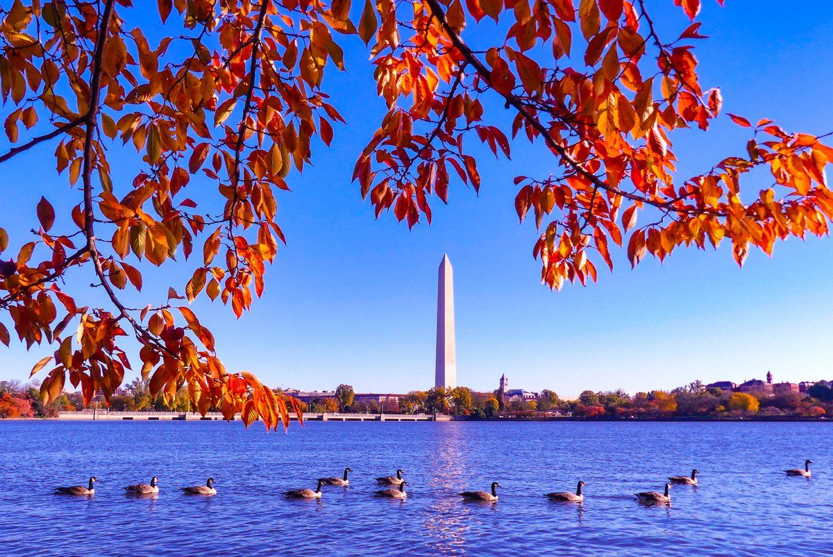 Photos Fall foliage comes to the DC area WTOP News