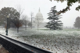 Snow collects on Capitol Hill in Washington. (WTOP/Mitch Miller)