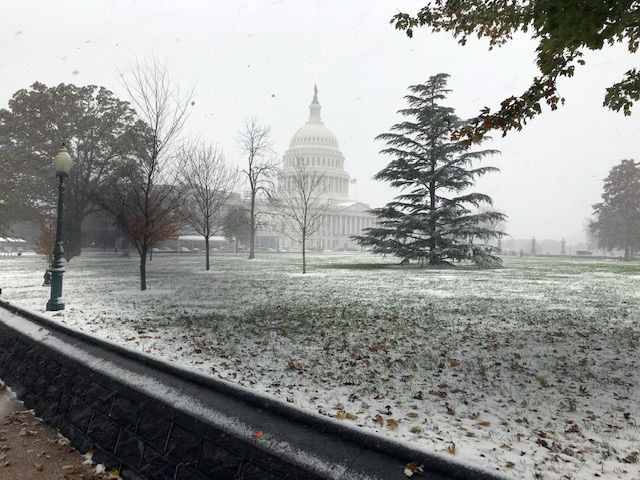 Snow collects on Capitol Hill in Washington. (WTOP/Mitch Miller)