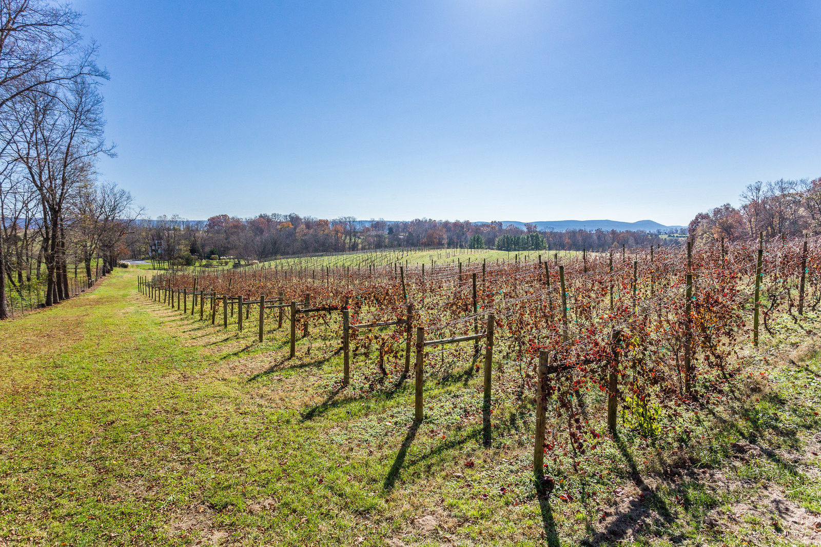 North Mountain Winery and Vineyard, a turnkey boutique vineyard and winery on 47 acres with 17 acres of producing vines and 10 varietals, is on the market for $2 million. (Courtesy Will Hinostroza, BTW Images/Keller Williams)