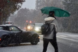 An unusual early season snowfall plastered the D.C. area on November 15. With 1.4 inches of snow measured at Reagan National Airport, it was the deepest November snowfall for Washington since 1989. The weather closed and delayed many school systems. More than 6 inches fell in Frederick County, Md. and Interstate 70 was impassable for a time with snow blamed for several accidents involving trucks. (WTOP/Dave Dildine)