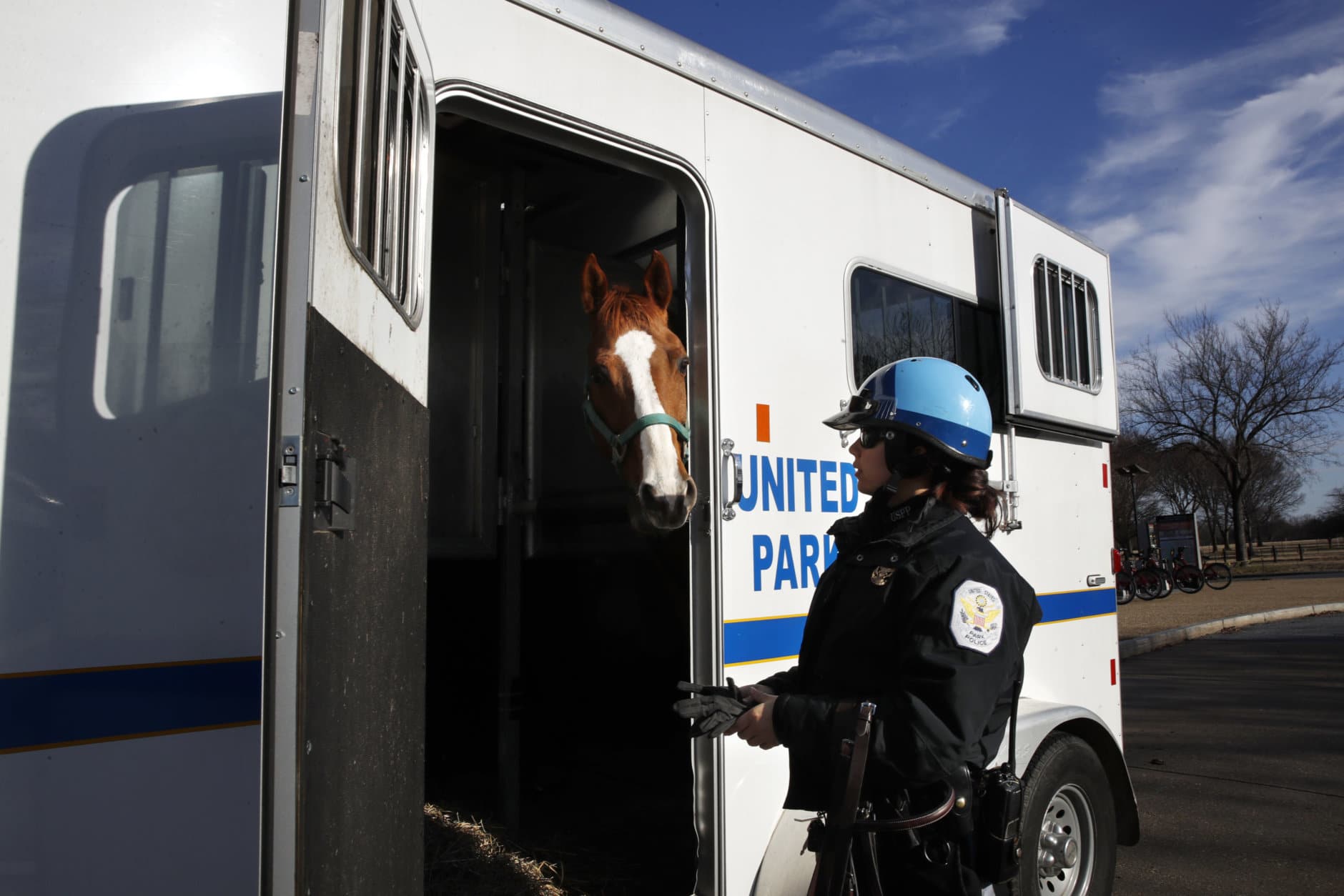 Park Police Horse Mounted Patrol Unit Officer Baum, who is working without pay due to the government shutdown, puts Monty into a horse trailer at the end of their day, across from the Martin Luther King Jr. Memorial, Thursday, Dec. 27, 2018, in Washington, during a partial government shutdown. President Donald Trump has vowed to hold the line on his budget demand, telling reporters during his visit to Iraq Wednesday that he'll do "whatever it takes" to get money for border security. The White House and congressional Democrats have been talking but to little effect. Washington area national parks will remain open during the partial government shutdown, but without visitor center services. (AP Photo/Jacquelyn Martin)