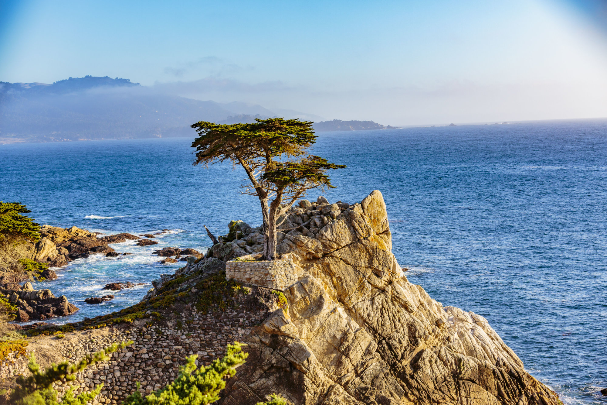 Pebble Beach, California, February 17, 2018:  The Lone Cypress is an iconic tree that stands on top of a granite outcropping in Pebble Beach, between Pacific Grove and Carmel-by-the-Sea. It is a Monterey cypress, endemic to just a few native groves in Carmel, Pebble Beach and Point Lobos.