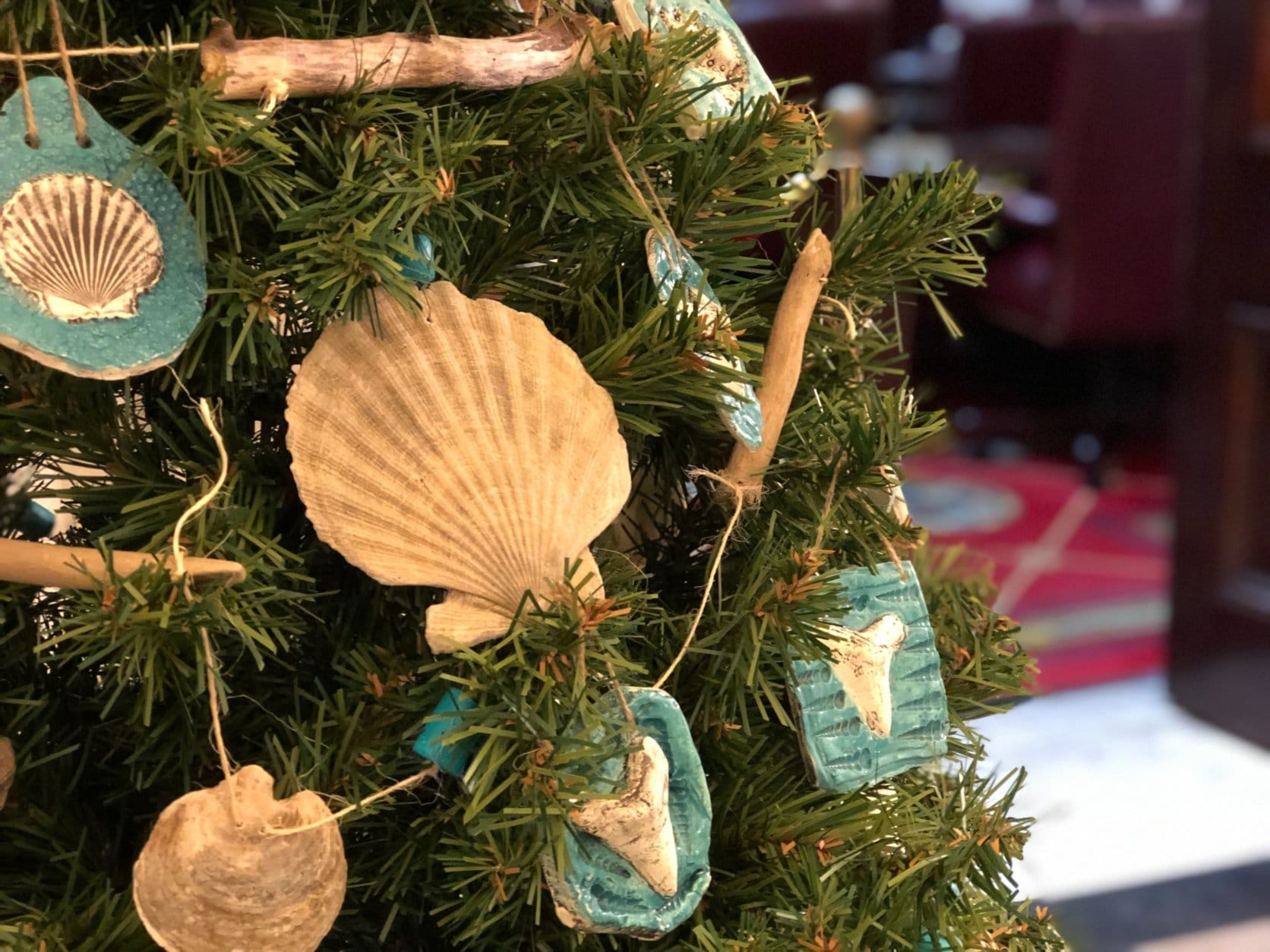 Guess which county tree features fossils and shells? It could only be the home of Calvert Cliffs—the Calvert County tree. (WTOP/Kate Ryan)