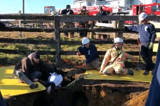 WATCH: Md. rescuers free horse trapped in cistern