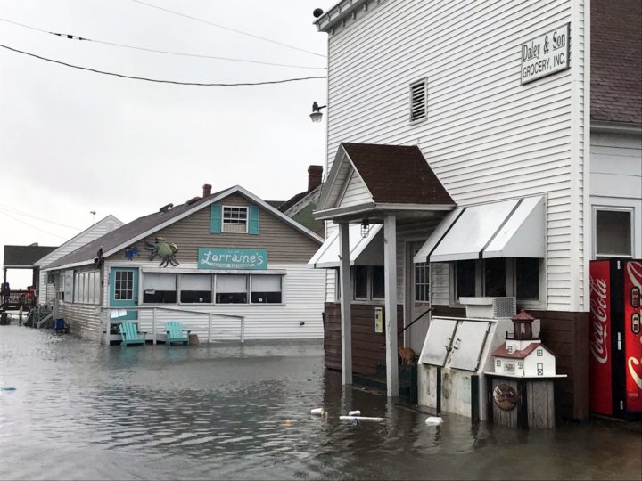 Tangier Island Life on the island WTOP News