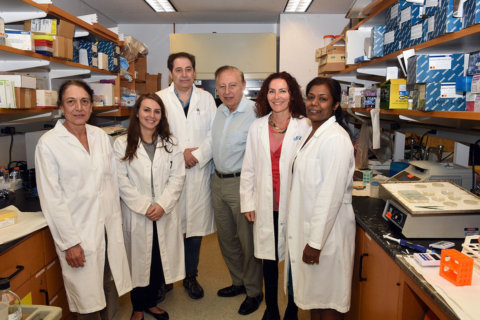 U. Md. researchers show how bacterial infections can contribute to cancer
