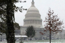 Washington gets its first taste of winter as snow collects on Capitol Hill Nov. 15, 2018. (WTOP/Mitchell Miller)