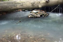 Illicit discharge at Normanstone Run. (Courtesy Mike Kolian)