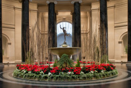 Stunning floral displays in the West Building Rotunda rotate throughout the winter and into spring and make the Gallery a classic holiday destination. (Courtesy National Gallery of Art)