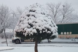 There's plenty of snow in Leesburg, Virginia. (Courtesy @sherrysherry1 via Twitter)