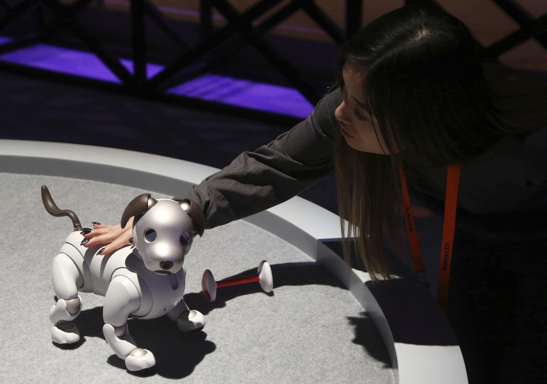 The new edition Sony Aibo robot dog incorporates a series of sensors, cameras, and actuators to activate the pup and keep it interactive, as seen inside the Sony display area at CES International, Monday, Jan. 7, 2019, in Las Vegas. (AP Photo/Ross D. Franklin)