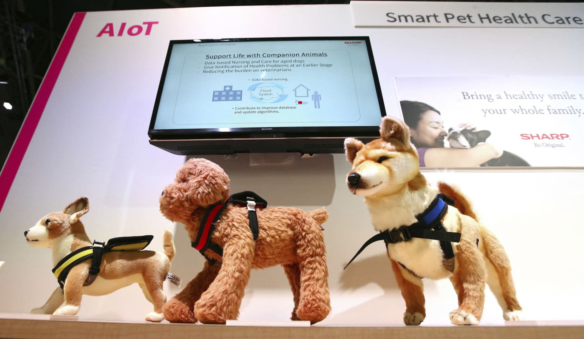Sharp offers vital sign monitors for your pets at CES International Wednesday, Jan. 9, 2019, in Las Vegas. (AP Photo/Ross D. Franklin)