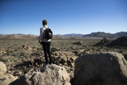 Trae Elliott visits Joshua Tree National Park in Southern California's Mojave Desert, Thursday, Jan. 10, 2019. The national park won't be closing because of the partial government shutdown after all. The desert preserve had planned to close on Thursday. As with other national parks, lack of staff had led to problems with human waste, trash and environmental damage. (AP Photo/Jae C. Hong)