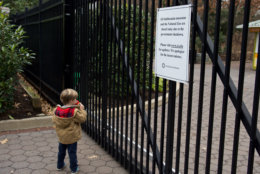 A young boy at the gates of the National Zoo on Wednesday, Jan. 2, 2019, during the government shutdown. (WTOP/Alejandro Alvarez)