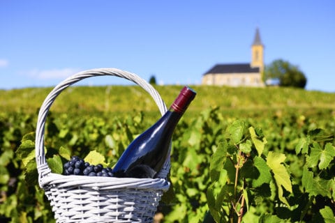 Wine of the Week: Value-oriented Burgundies, part 2