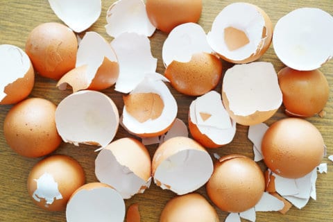 An eggcellent idea for your garden: Save those shells