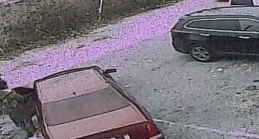 Surveillance video captured a man striking, pulling and abandoning a dog in a Northeast D.C. parking lot earlier this month. (Courtesy Humane Rescue Alliance)
