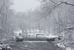 Snow comes down in Rock Creek Park on Sunday. (WTOP/Dave Dildine)