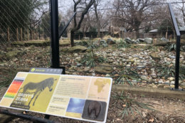 Brandie Smith, the zoo's associate director of animal care sciences, said some of the animals made it clear they missed having visitors during the shutdown. (WTOP/Melissa Howell)