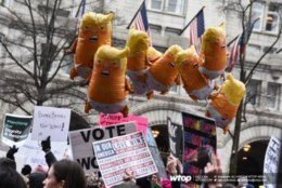 Swarms of the Trump baby balloons being paraded down Pennsylvania Ave in Washington D.C. The balloons modeled after the giant blimp that took flight during Trump’s visit to London last summer. (WTOP/Alejandro Alvarez)