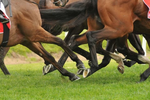 ‘3-horse spill’ at Md. track hospitalizes jockeys; 2 horses euthanized