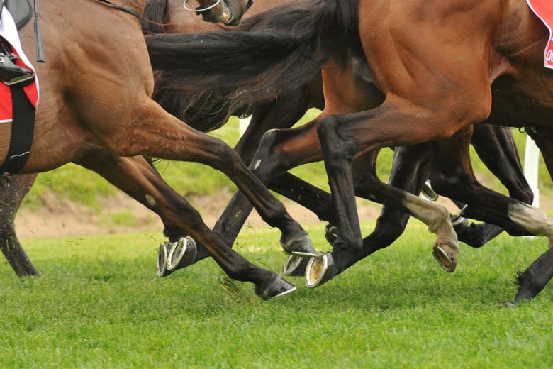 ‘3-horse spill’ at Md. track hospitalizes jockeys; 2 horses euthanized ...
