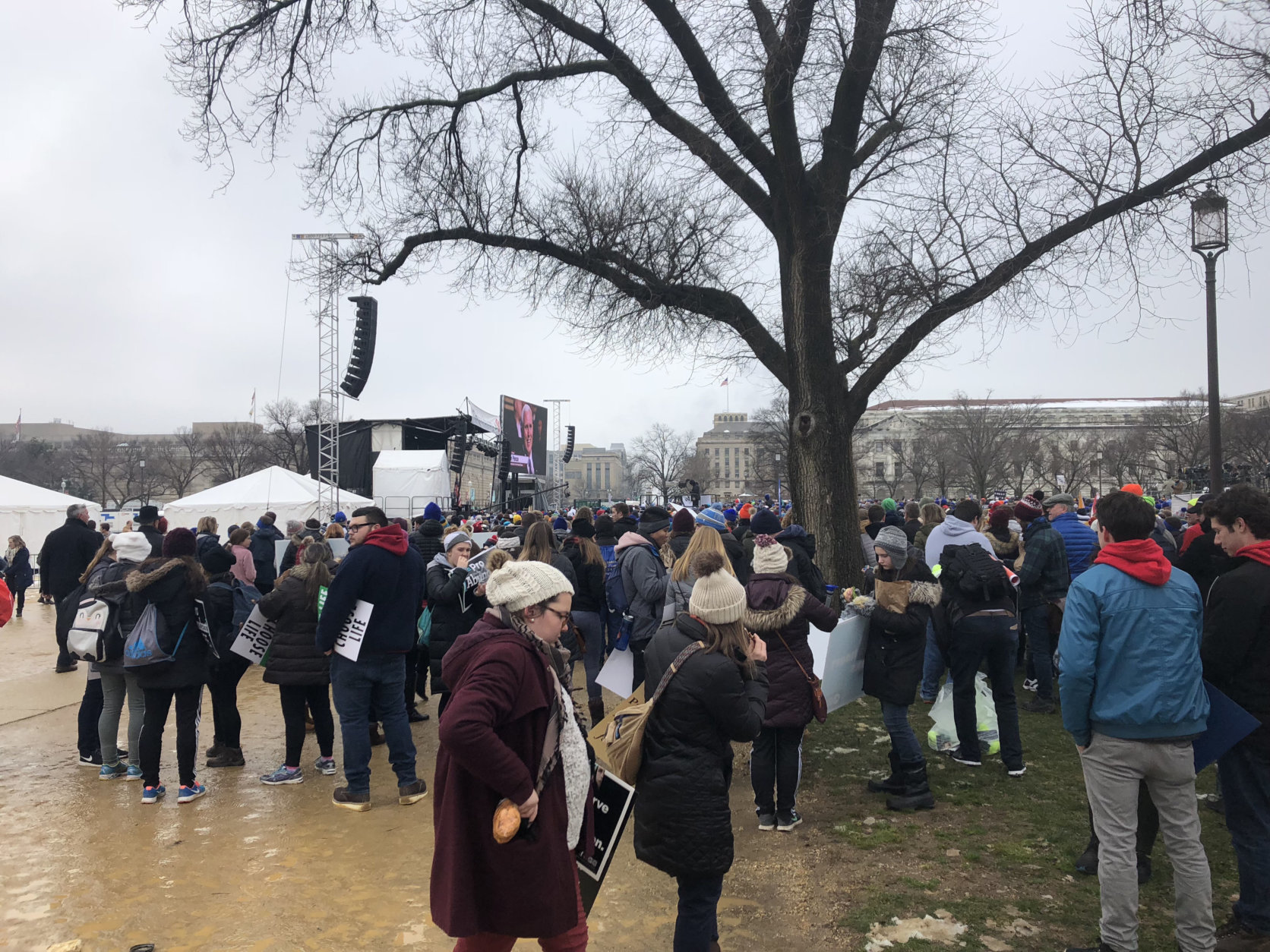 Activists gather for Friday's March for Life. (WTOP/Max Smith)