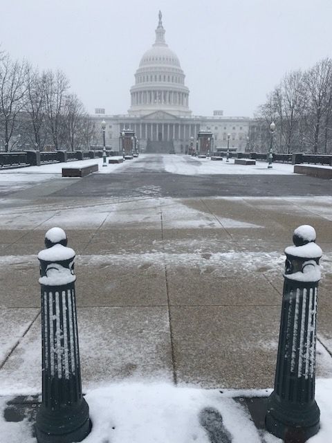 Snow blankets the Capitol in D.C. on Wednesday. (WTOP/Mitchell Miller)