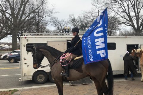 ‘Cowboys for Trump’ finish 8-day ride to the White House