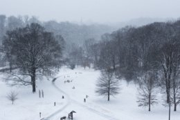 Rock Creek Park seen from the Connecticut Avenue overpass in Woodley Park. Snow was accumulating quickly in the hours after sunrise Wednesday, making for a winter wonderland in D.C.’s largest park. (WTOP/Alejandro Alvarez)