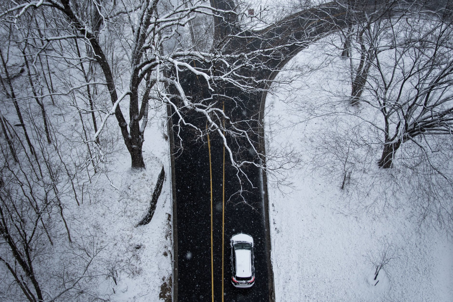 A vehicle passes under snow-covered trees on Beach Drive under the Connecticut Avenue overpass in Woodley Park. Roads on Wednesday morning in northwest D.C. were slushy, but drivable. (WTOP/Alejandro Alvarez)