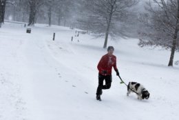 On Wednesday morning, Rock Creek Park was — unsurprisingly — most devoid of commuters, save for some joggers and residents of northwest D.C. walking dogs. (WTOP/Alejandro Alvarez)