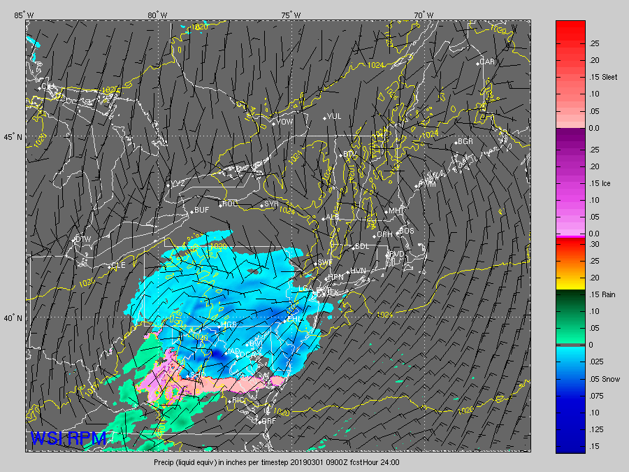 RPM computer model output from early Thursday morning showing the potential progression of the snow overnight and through the morning rush on Friday. This is a snapshot for 4 a.m. Friday. (Courtesy The Weather Company) 