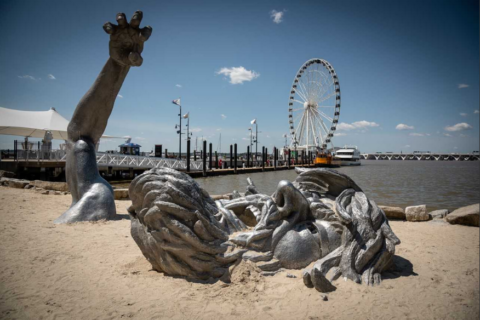Take a self-guided cellphone tour of National Harbor art
