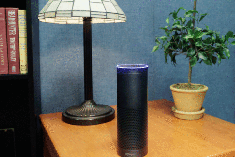 DC firm says we like Alexa. But we’re not pushing her