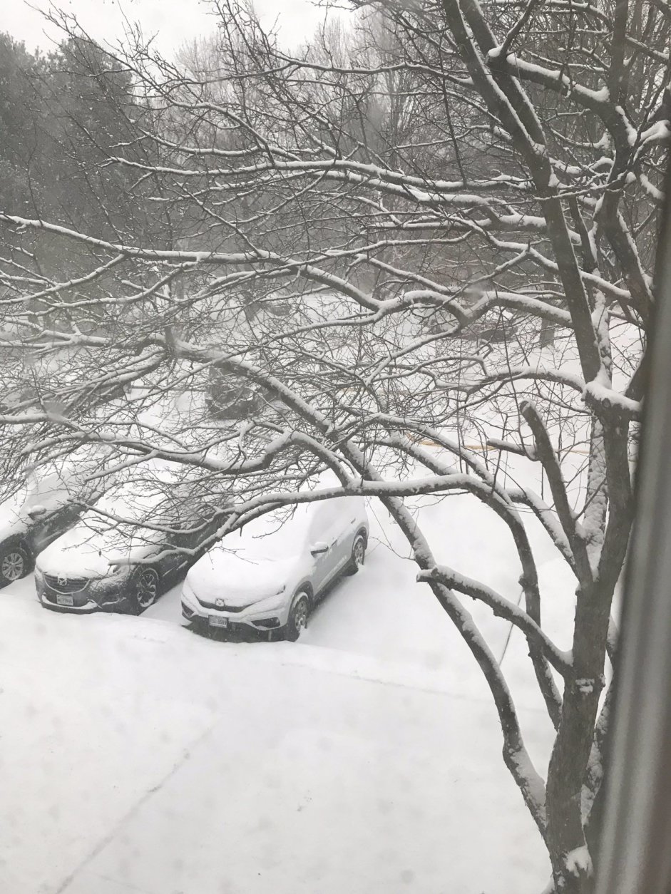 Snow piles up in Alexandria, Virginia, Wednesday morning. (Courtesy @SylvieNFawley via Twitter)