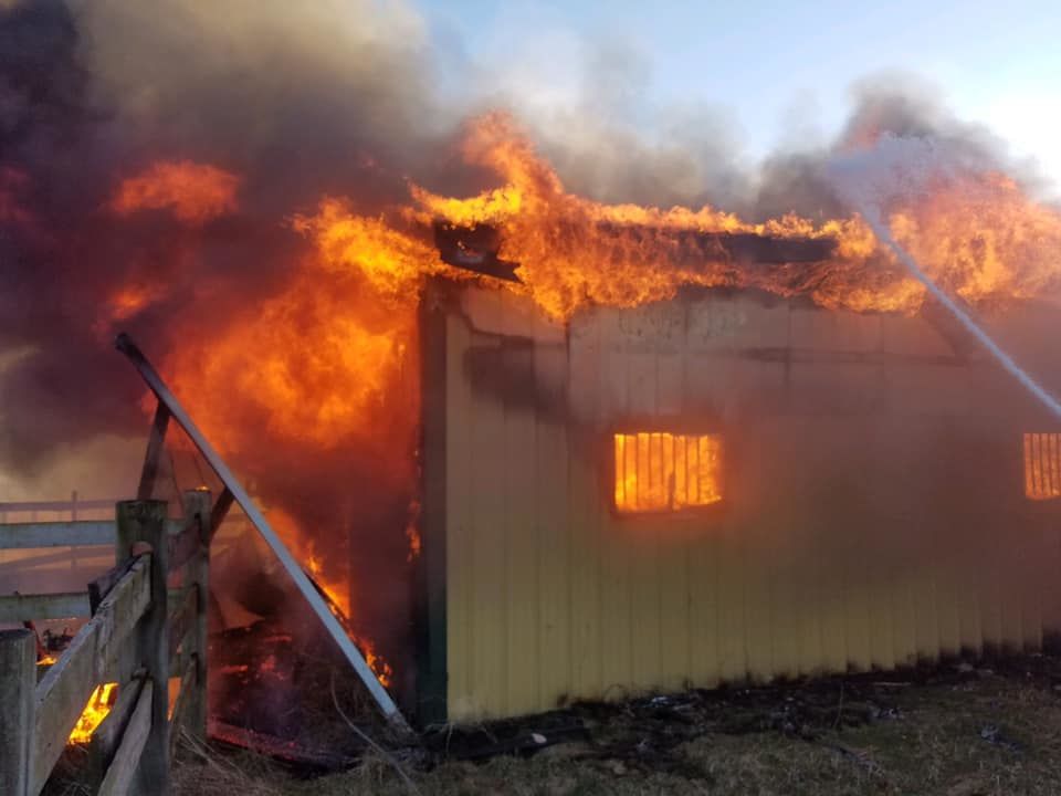 Eight horses die in a barn fire in Frederick County, Maryland on Saturday, Feb. 9, 2019. (Courtesy Frederick County Fire and Rescue/Facebook)