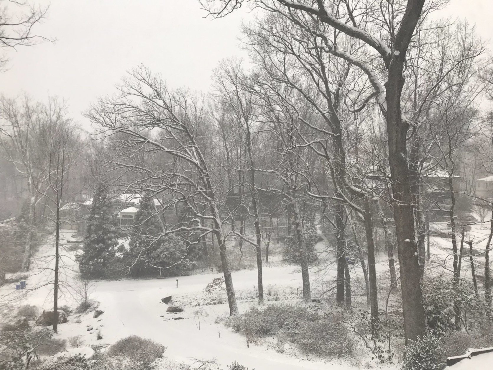 Bethesda, Maryland, got a heavy dose of snow Wednesday morning. (Courtesy @JohnKonkus via Twitter)
