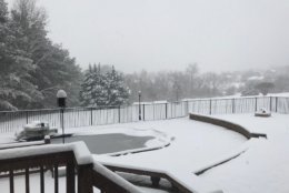 It's a winter wonderland in Culpeper, Virginia, on Wednesday morning. (Courtesy @RandiLutz via Twitter)