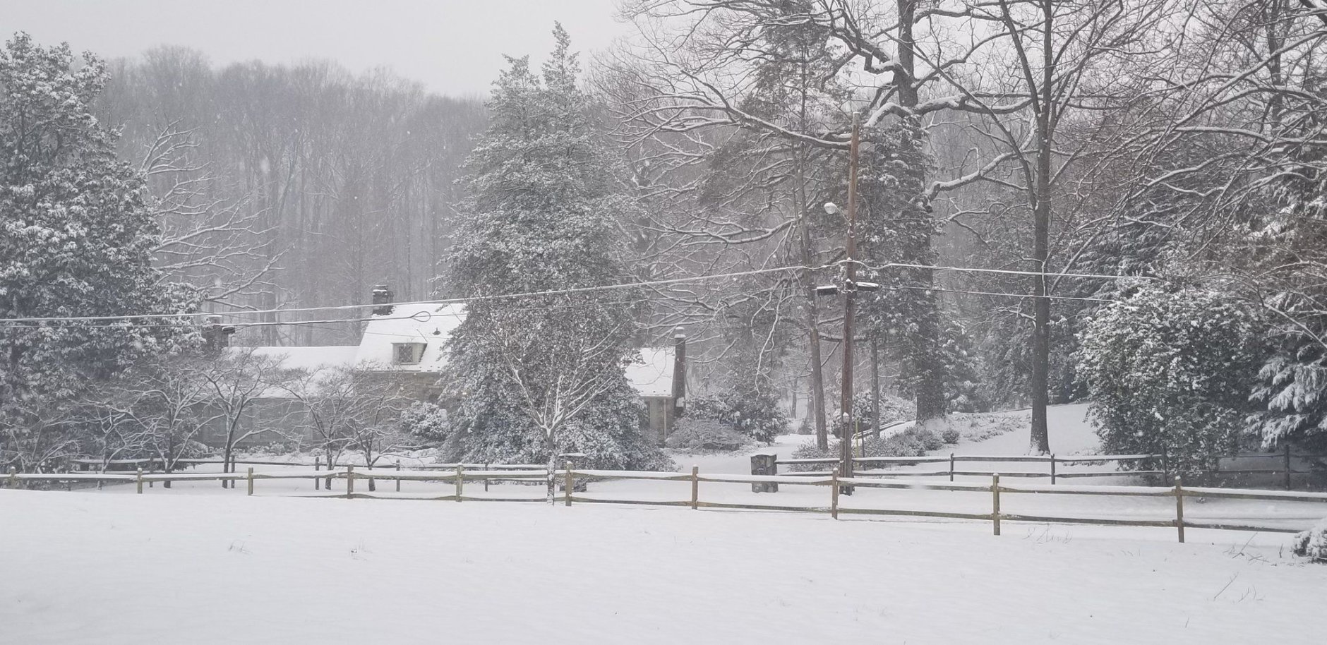 It's a winter wonderland in Falls Church, Virginia. (WTOP/Hillary Howard)